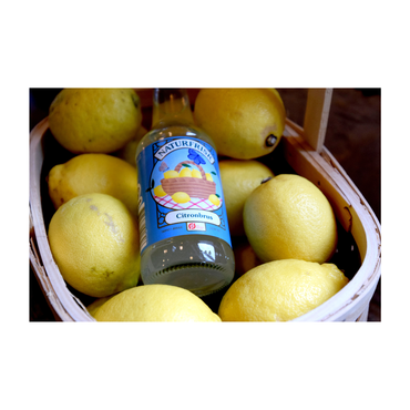 Naturfrisk Danskvand Citrus