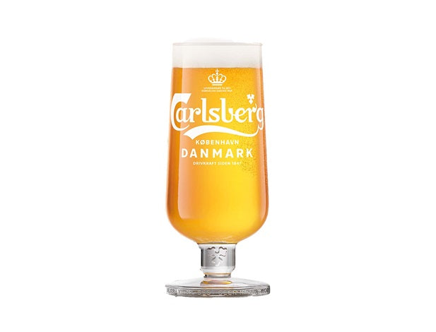 Carlsberg Nordlyst MD20