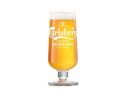 Carlsberg Nordlyst MD20